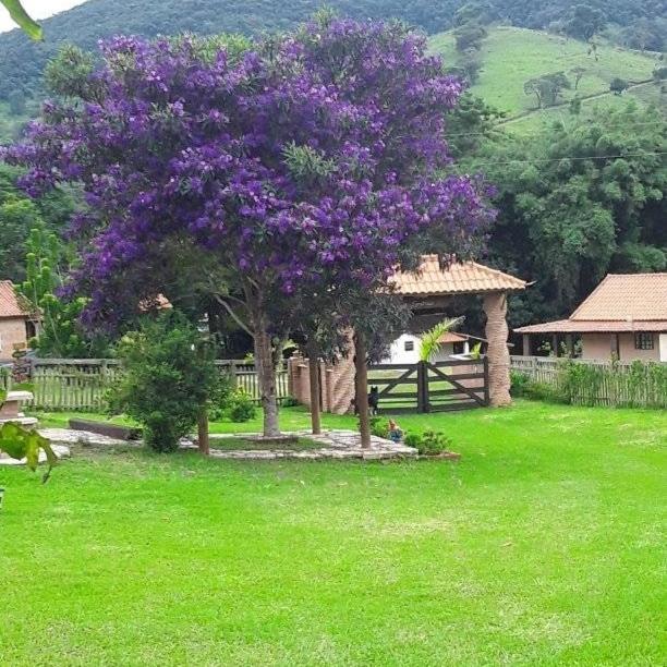 Recanto Das Flores São Tomé das Letras エクステリア 写真