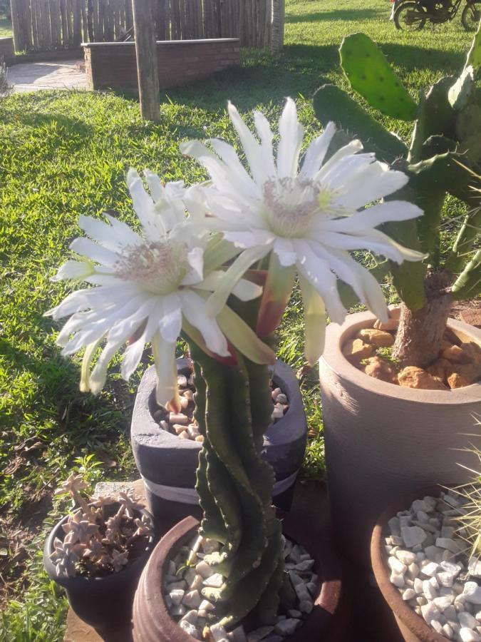 Recanto Das Flores São Tomé das Letras エクステリア 写真