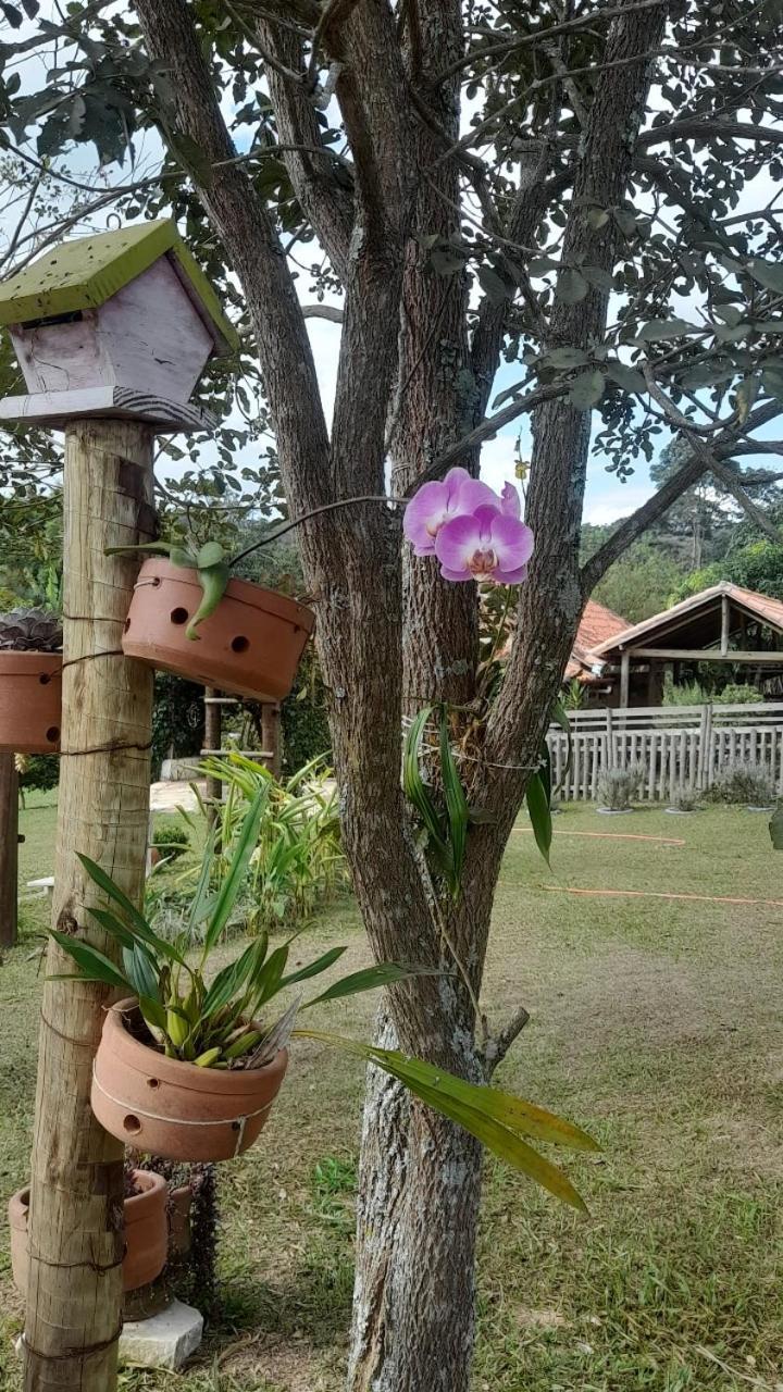 Recanto Das Flores São Tomé das Letras エクステリア 写真